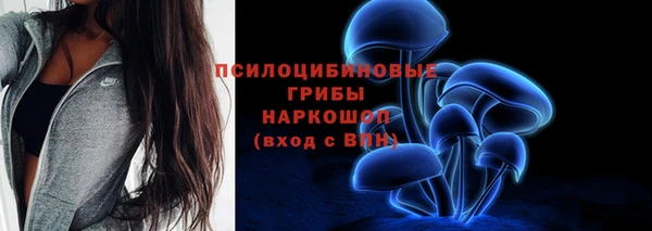 стаф Алексеевка