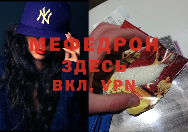 мдпв Инсар