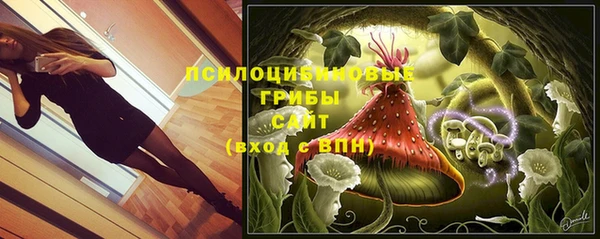 не бодяженный Арсеньев