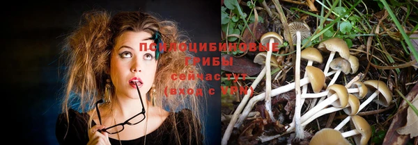 не бодяженный Арсеньев