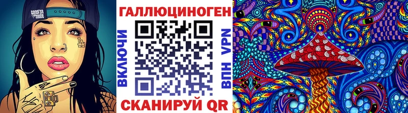 наркошоп  Тогучин  мориарти телеграм  Галлюциногенные грибы Cubensis 